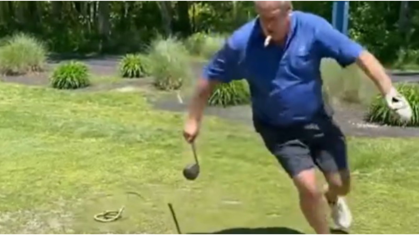 Amateur golfer CHASED BY SNAKE on the tee box as his pals laugh uncontrollably